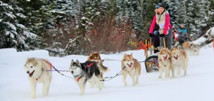 Musher